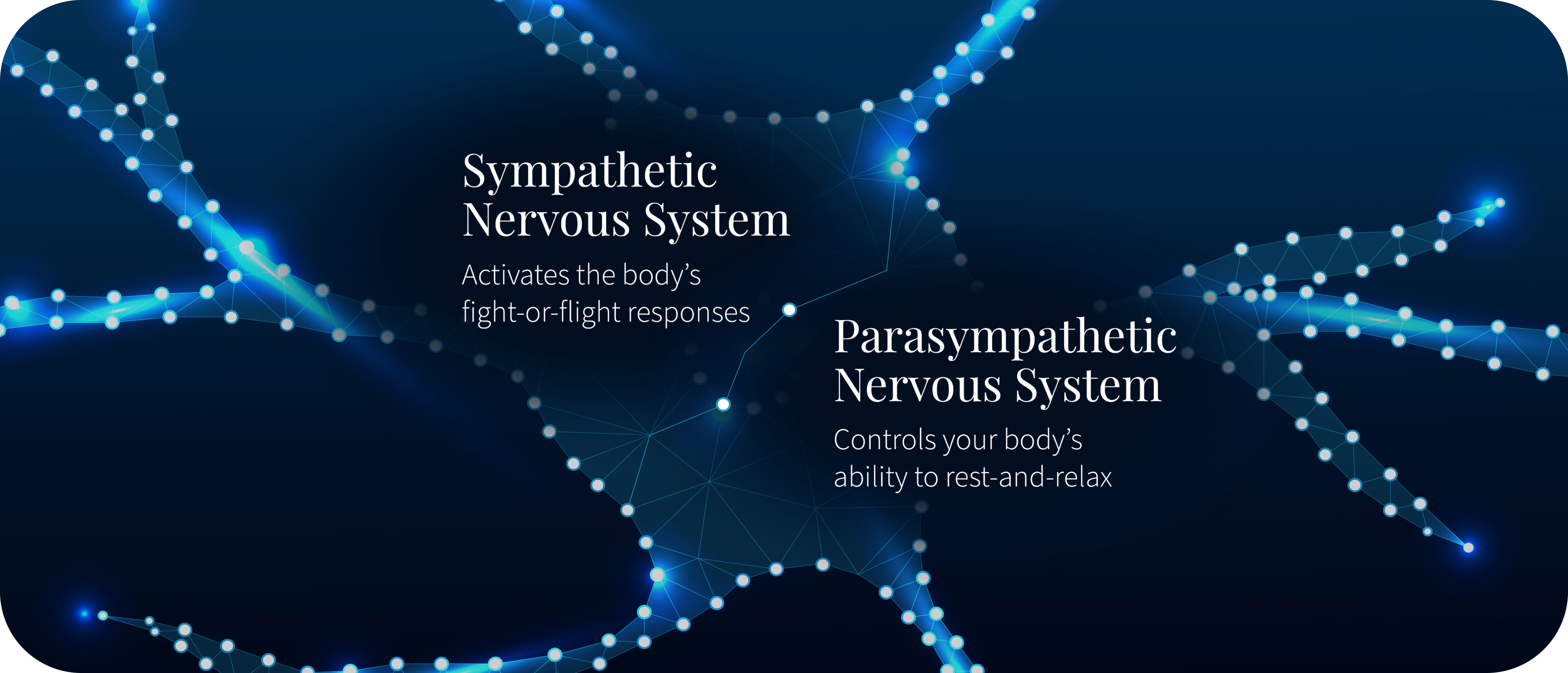 infographic with blue neural connections as a background
